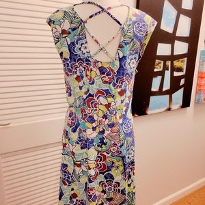 NWOT Title Nine "Peach Skin" Patterned Dress, size XL (14-16)